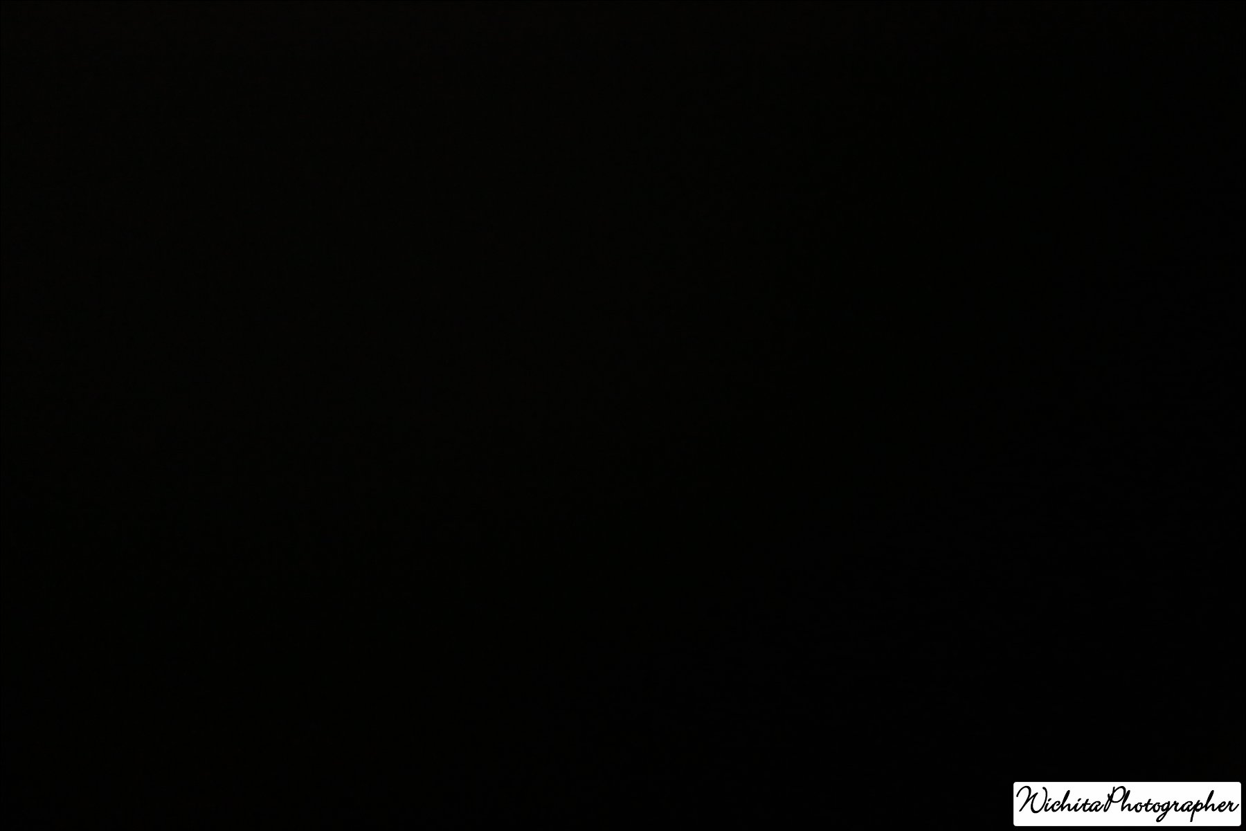 5Q4A1316.JPG