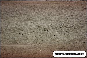 5Q4A1318.JPG