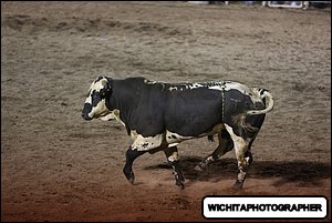 5Q4A2168.JPG