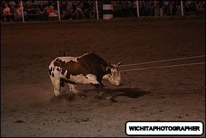 5Q4A2248.JPG