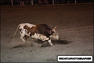 5Q4A2250.JPG