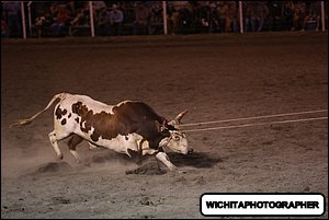 5Q4A2252.JPG