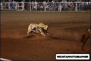 5Q4A2279.JPG