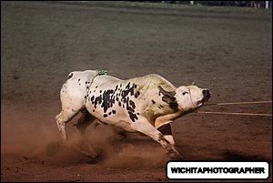 5Q4A2283.JPG