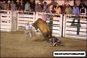 5Q4A2317.JPG