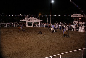 5Q4A3789.JPG