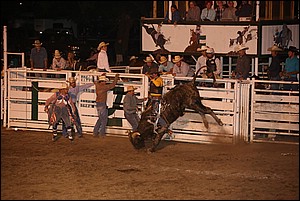 5Q4A3795.JPG