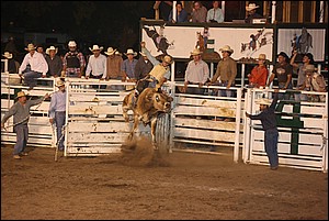 5Q4A3822.JPG