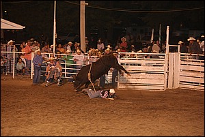 5Q4A3825.JPG